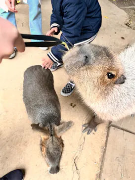 横浜・八景島シーパラダイスに投稿された画像（2022/11/20）