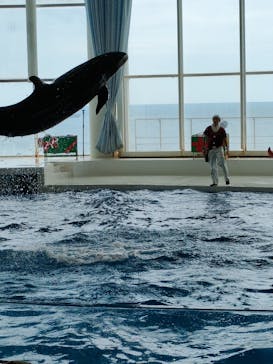 アクアワールド茨城県大洗水族館に投稿された画像（2022/11/20）