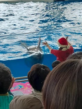 アクアワールド茨城県大洗水族館に投稿された画像（2022/11/20）