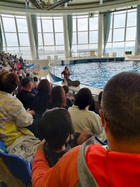 アクアワールド茨城県大洗水族館に投稿された画像（2022/11/20）