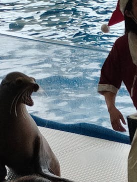 アクアワールド茨城県大洗水族館に投稿された画像（2022/11/20）