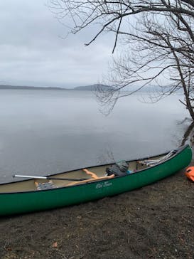 Matatabi（マタタビ）に投稿された画像（2022/11/20）