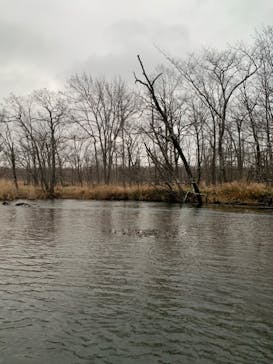 Matatabi（マタタビ）に投稿された画像（2022/11/20）