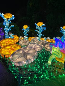 伊豆ぐらんぱる公園に投稿された画像（2022/11/20）