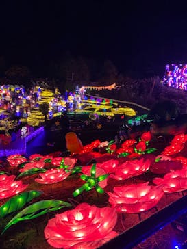 伊豆ぐらんぱる公園に投稿された画像（2022/11/20）