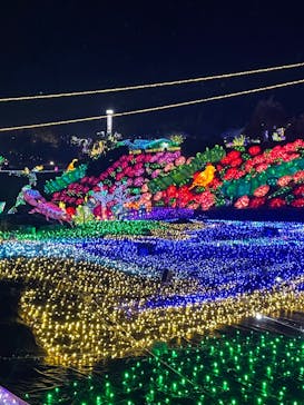 伊豆ぐらんぱる公園に投稿された画像（2022/11/20）