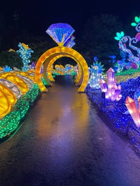 伊豆ぐらんぱる公園に投稿された画像（2022/11/20）