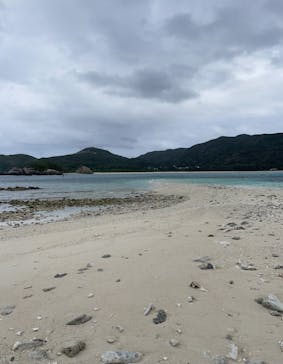 アイランズトリップに投稿された画像（2022/11/20）