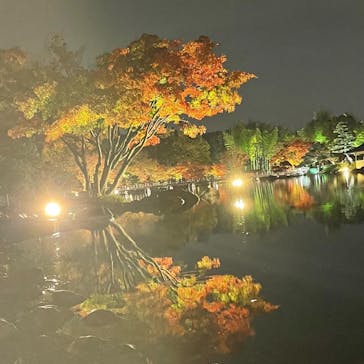国営昭和記念公園 秋の夜散歩に投稿された画像（2022/11/20）