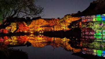 NAKEDヨルモウデ2022平安神宮に投稿された画像（2022/11/20）