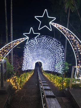 美らヤシパークオキナワ・東南植物楽園に投稿された画像（2022/11/20）