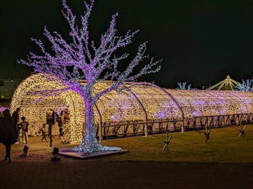 東京メガイルミに投稿された画像（2022/11/20）