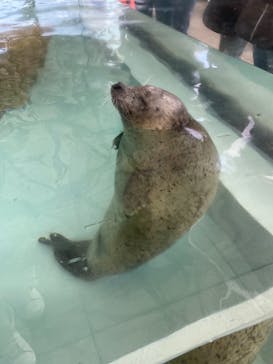 城崎マリンワールドに投稿された画像（2022/11/20）