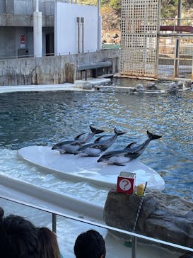 城崎マリンワールドに投稿された画像（2022/11/20）