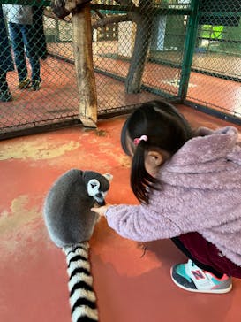 那須ワールドモンキーパークに投稿された画像（2022/11/20）