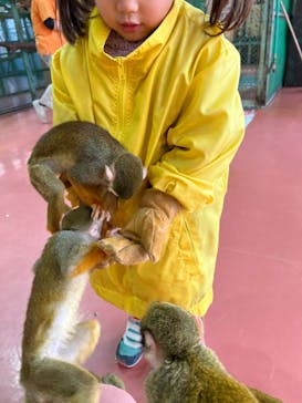 那須ワールドモンキーパークに投稿された画像（2022/11/20）