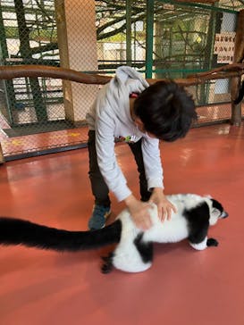 那須ワールドモンキーパークに投稿された画像（2022/11/20）