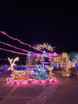 とっとり花回廊に投稿された画像（2022/11/20）