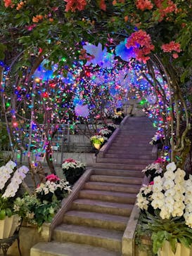 とっとり花回廊に投稿された画像（2022/11/20）