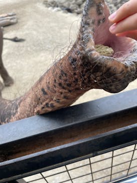 那須サファリパークに投稿された画像（2022/11/20）