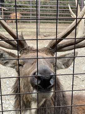 那須サファリパークに投稿された画像（2022/11/20）