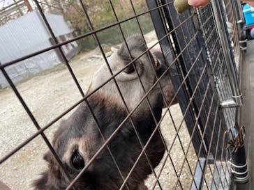 那須サファリパークに投稿された画像（2022/11/20）