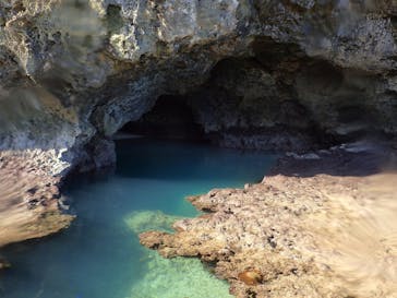 スローダイブ石垣島に投稿された画像（2022/11/20）