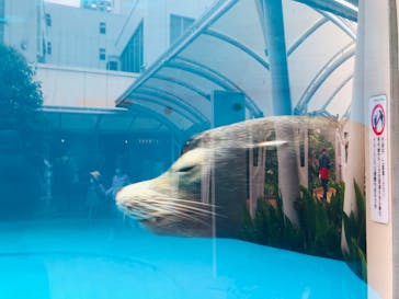サンシャイン水族館に投稿された画像（2022/11/20）