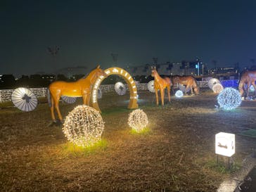 東京メガイルミに投稿された画像（2022/11/20）