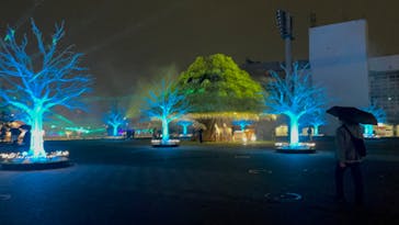 東京メガイルミに投稿された画像（2022/11/20）