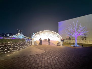 東京メガイルミに投稿された画像（2022/11/20）