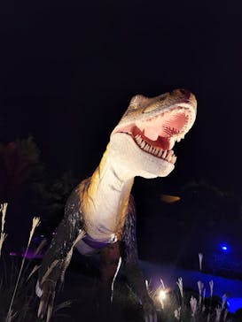 伊豆ぐらんぱる公園に投稿された画像（2022/11/20）