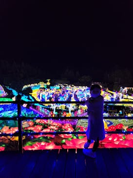 伊豆ぐらんぱる公園に投稿された画像（2022/11/20）