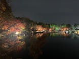 国営昭和記念公園 秋の夜散歩に投稿された画像（2022/11/21）