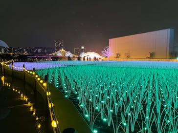 東京メガイルミに投稿された画像（2022/11/21）