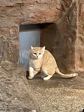 那須どうぶつ王国に投稿された画像（2022/11/21）