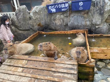 那須どうぶつ王国に投稿された画像（2022/11/21）