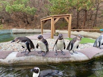 那須どうぶつ王国に投稿された画像（2022/11/21）