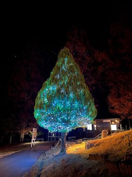 KYOTO ILLUMINATION SYNESTHESIA HILLS るり渓温泉に投稿された画像（2022/11/21）