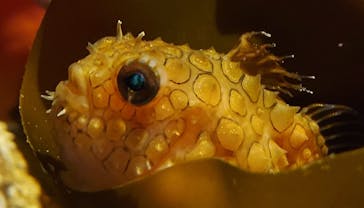 環境水族館アクアマリンふくしまに投稿された画像（2022/11/21）