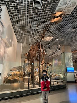 国立科学博物館に投稿された画像（2022/11/21）