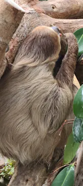 神戸どうぶつ王国に投稿された画像（2022/11/21）