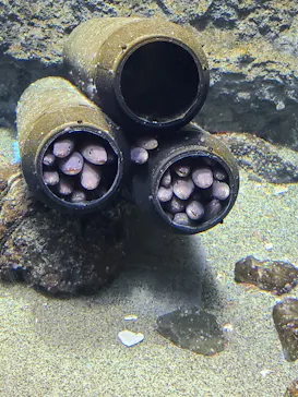 仙台うみの杜水族館に投稿された画像（2022/11/21）