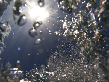 沖縄マリンサービス碧に投稿された画像（2022/11/21）