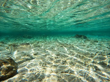 沖縄マリンサービス碧に投稿された画像（2022/11/21）