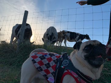 マザー牧場に投稿された画像（2022/11/21）