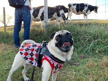 マザー牧場に投稿された画像（2022/11/21）