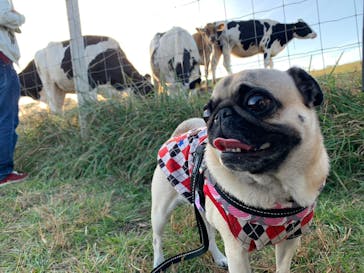 マザー牧場に投稿された画像（2022/11/21）