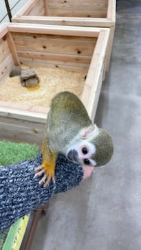 しろとり動物園に投稿された画像（2022/11/21）