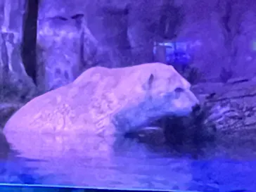 横浜・八景島シーパラダイスに投稿された画像（2022/11/21）